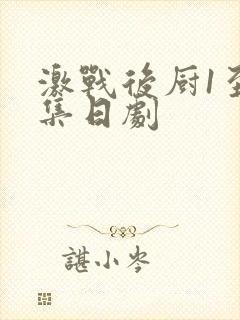 激战后厨1至5集日剧