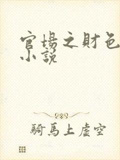 官场之财色诱人小说