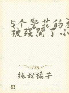 5个警花的初苞被强开了小说