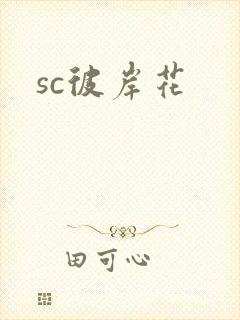 sc彼岸花