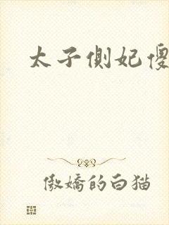 太子侧妃傻乎乎