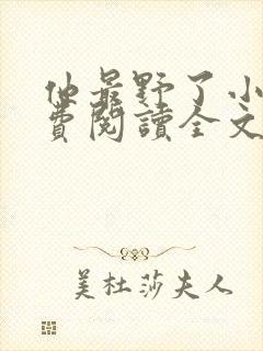 他最野了小说免费阅读全文