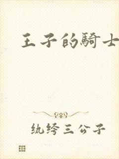 王子的骑士小说