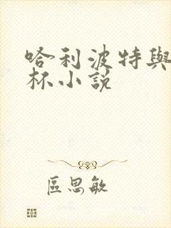 哈利波特与火焰杯小说