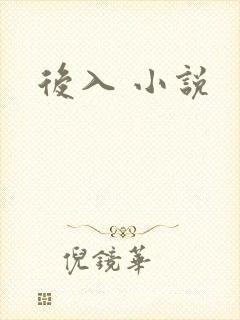 后入 小说