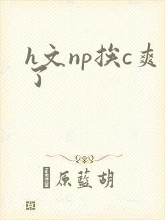 h文np挨c爽了