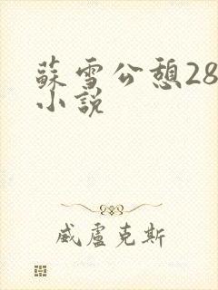 苏雪公憩28篇小说