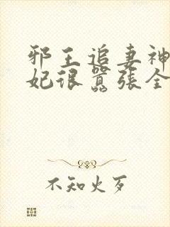 邪王追妻神医狂妃很嚣张全文免费