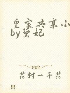 皇家共享小公主by黛妃