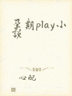 孕期play小说