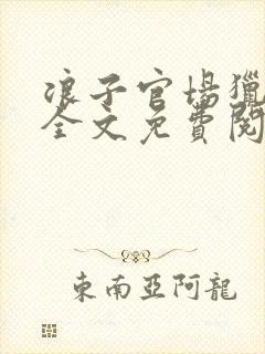 浪子官场猎艳记全文免费阅读