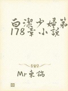 白洁少妇第1一178章小说