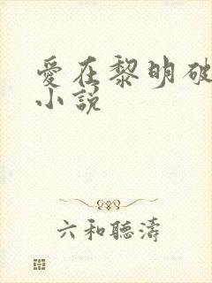 爱在黎明破晓前小说