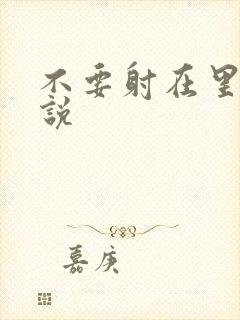 不要射在里面小说