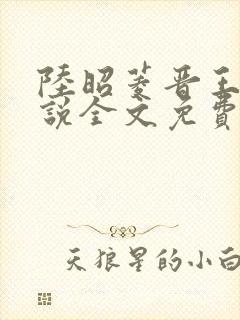 陆昭菱晋王的小说全文免费阅读