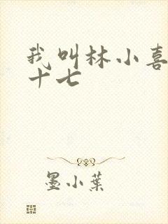 我叫林小喜今年十七