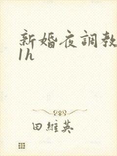 新婚夜调教1v1h