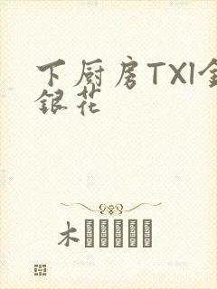 下厨房TXl金银花