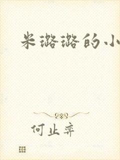 米璐璐的小说
