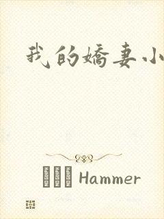 我的娇妻小说