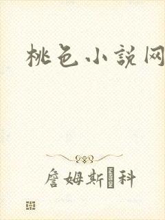 桃色小说网