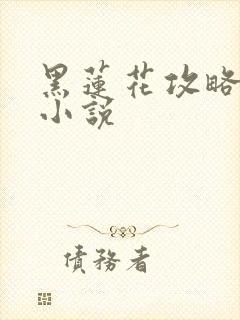 黑莲花攻略手册小说