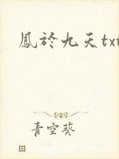凤于九天txt