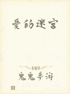 爱的迷宫