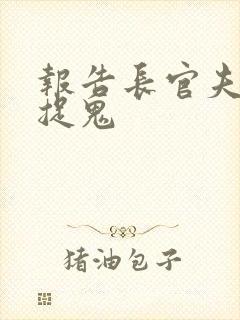 报告长官夫人在捉鬼