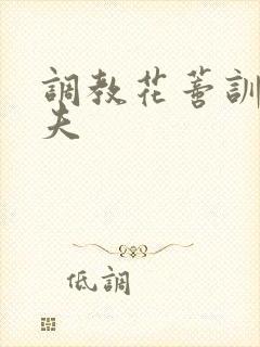 调教花蒂训诫从夫