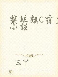 系统想C宿主的小说