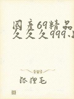 国产69精品久久久久999小说