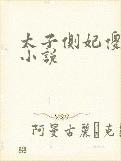 太子侧妃傻乎乎小说