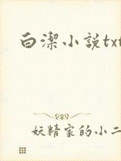 白洁小说txt