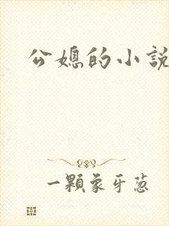 公媳的小说