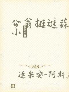 公翁挺进苏玥的小泬