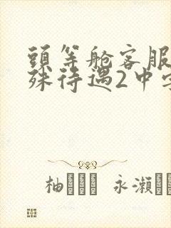 头等舱客服的特殊待遇2中字