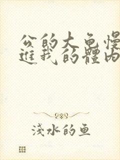 公的大龟慢慢挺进我的体内