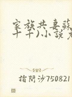 家族共妻苏苏(十千)小说免费