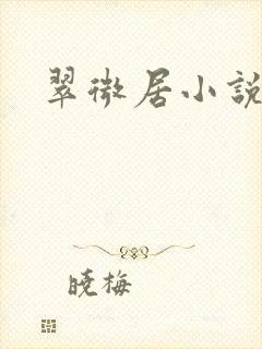 翠微居小说