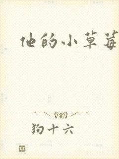 他的小草莓
