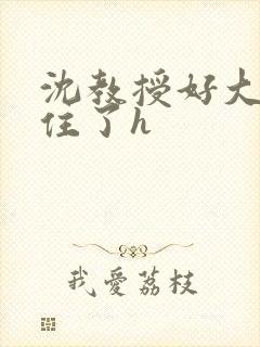 沈教授好大含不住了h