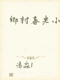 乡村春光小说