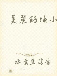 美丽的他小说