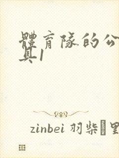 体育队的公用玩具1