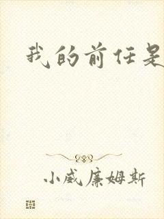 我的前任是极品