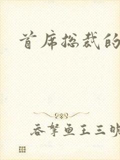 首席总裁的逃妻