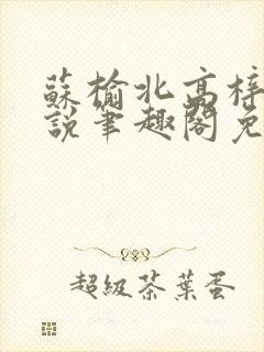 苏榆北高梓淇小说笔趣阁免费阅读