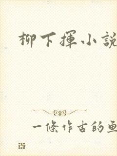柳下挥小说