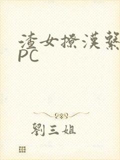 渣女撩汉系统NPC